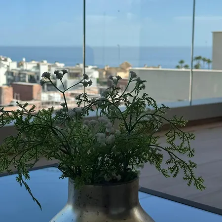 Casa Scenic Apartment *